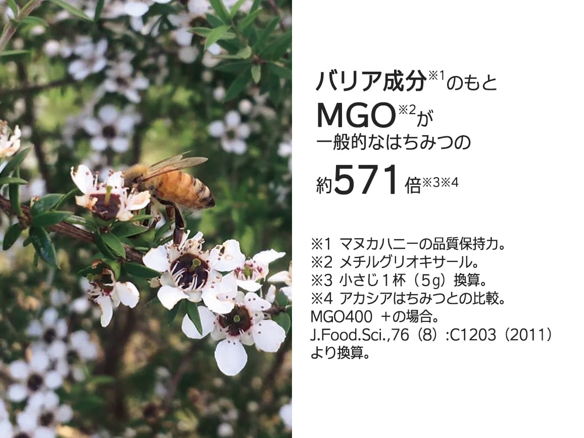 ハルメク マヌカハニー MGO400+(3本) ハルメク マヌカハニー MGO400+(3本)