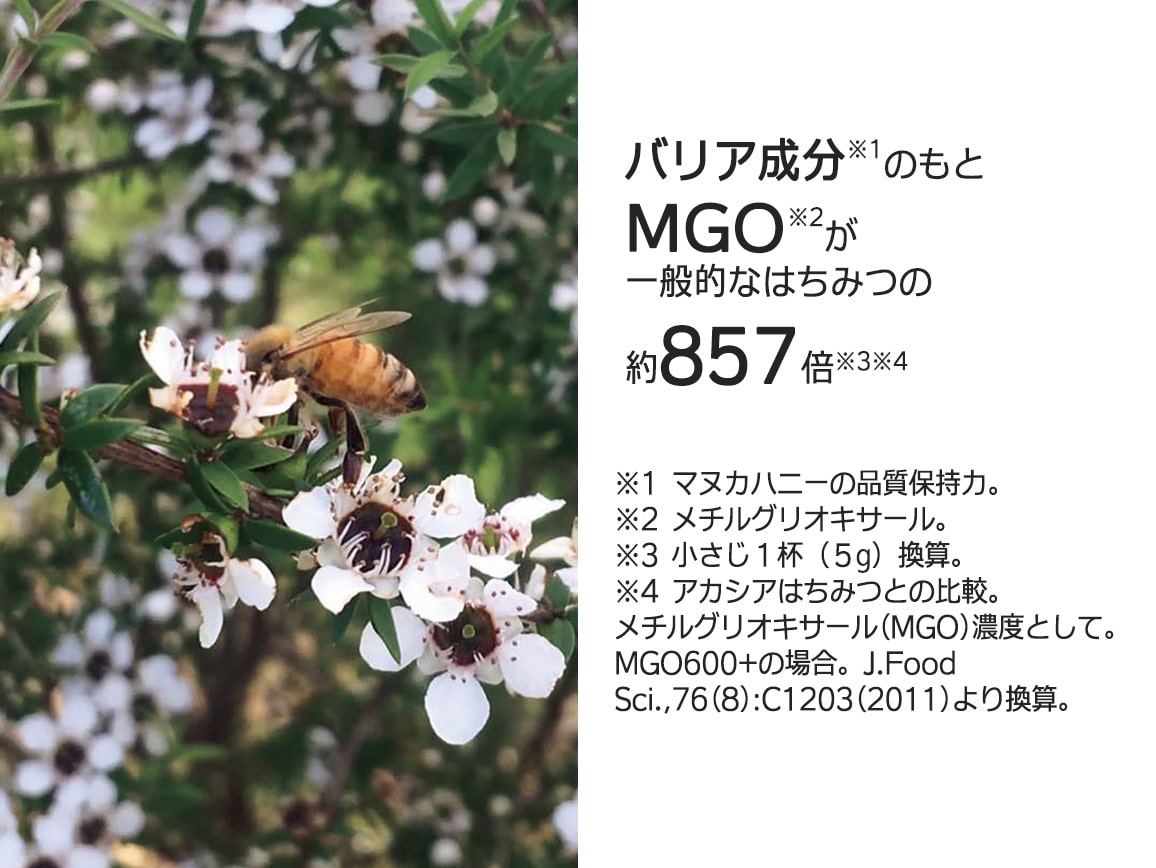 ハルメク マヌカハニー MGO600+(2本) ハルメク マヌカハニー MGO600+(2本)
