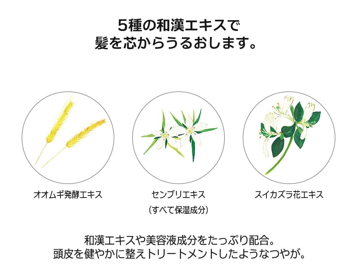 ハルメク 美・白髪シャンプー 2本組 ハルメク 美・白髪シャンプー 2本組