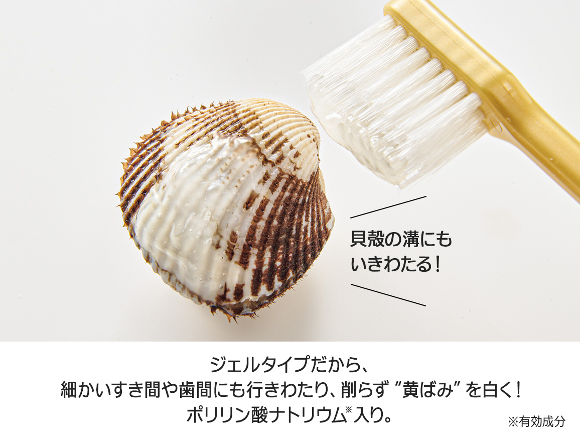 ハルメク 薬用お茶で歯磨きジェル2本組+フロス付き ハルメク 薬用お茶で歯磨きジェル2本組+フロス付き