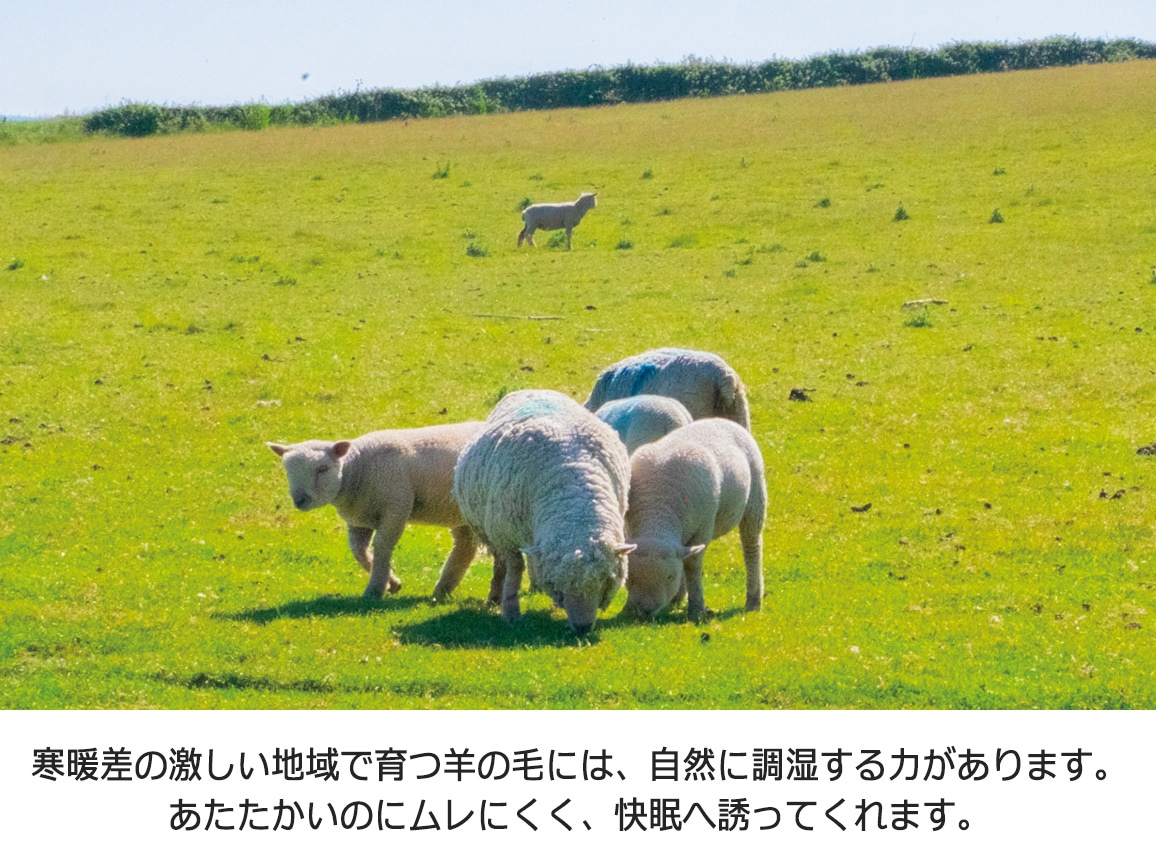 ザ・プレミアムソフゥール(R)掛け毛布(ダブル) ザ・プレミアムソフゥール(R)掛け毛布(ダブル)