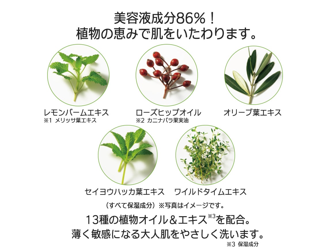 ハルメク ハーブモイストクレンジングオイル(詰め替え用)2個組 ハルメク ハーブモイストクレンジングオイル(詰め替え用)2個組