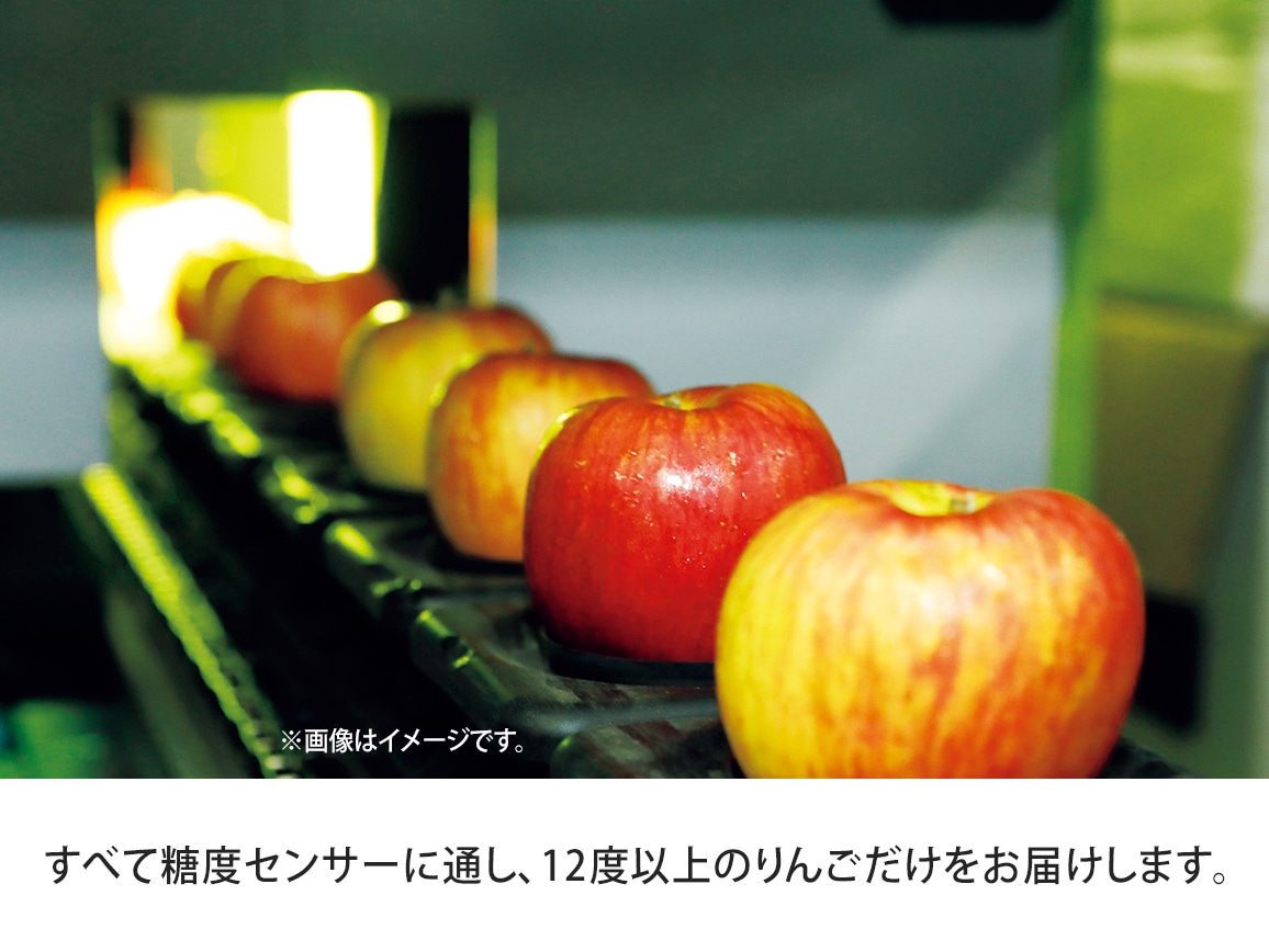 葉とらずサンふじ(2.7kg) 葉とらずサンふじ(2.7kg)