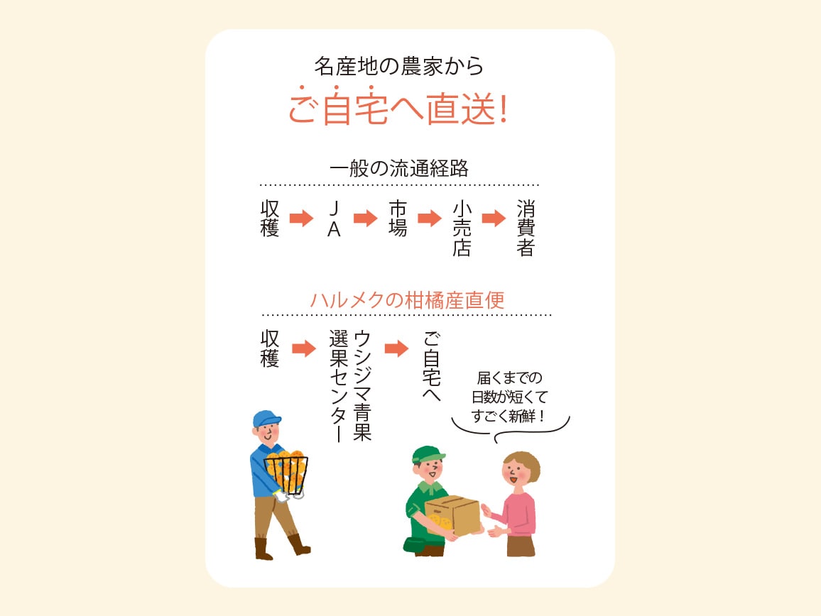 そばかす晩柑(3.0kg)(単品) そばかす晩柑(3.0kg)(単品)
