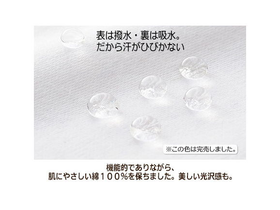 日本製 汗じみ防止加工トラベルカットソー 04 ｌｌ 25 グレージュ 公式 ハルメク通販サイト