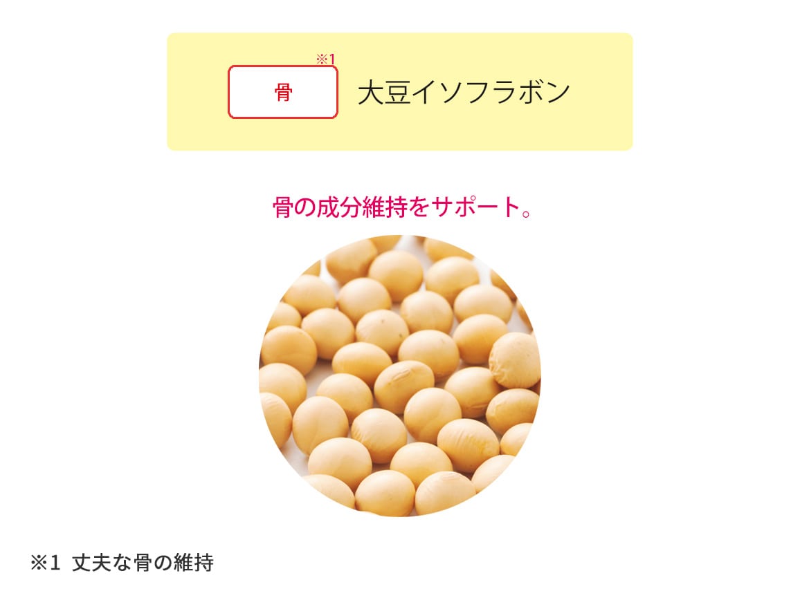 ハルメク 歩くミカタ<ひざ関節・骨・筋>(1本) ハルメク 歩くミカタ<ひざ関節・骨・筋>(1本)