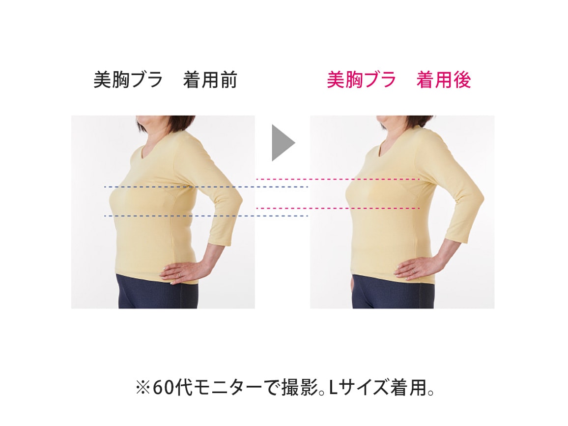 ハルメク ヘルスプラス・背すじシャキッと美胸ブラ(旧タイプ) ハルメク ヘルスプラス・背すじシャキッと美胸ブラ(旧タイプ)