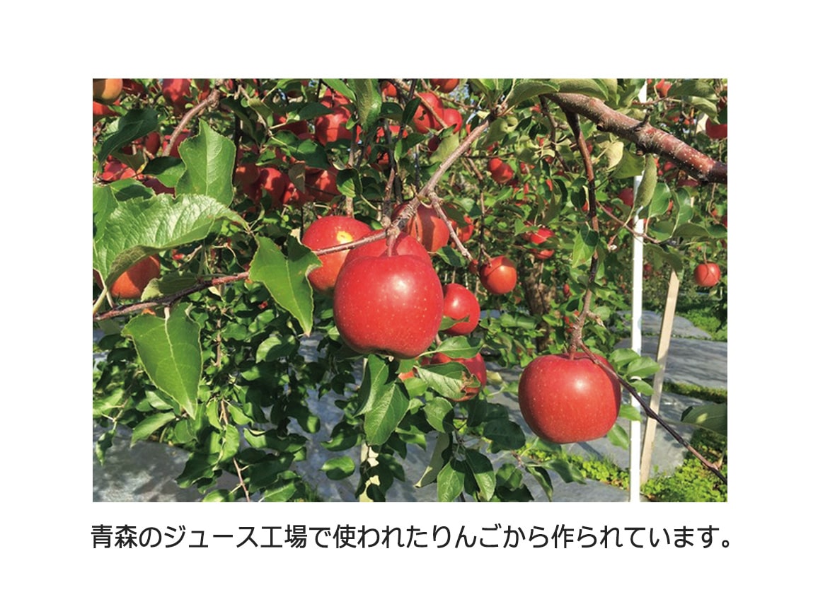 りんごリサイクルトート りんごリサイクルトート