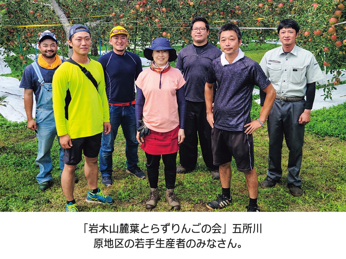 【送料込み価格】特選 葉とらず名月(2.5kg) 【送料込み価格】特選 葉とらず名月(2.5kg)