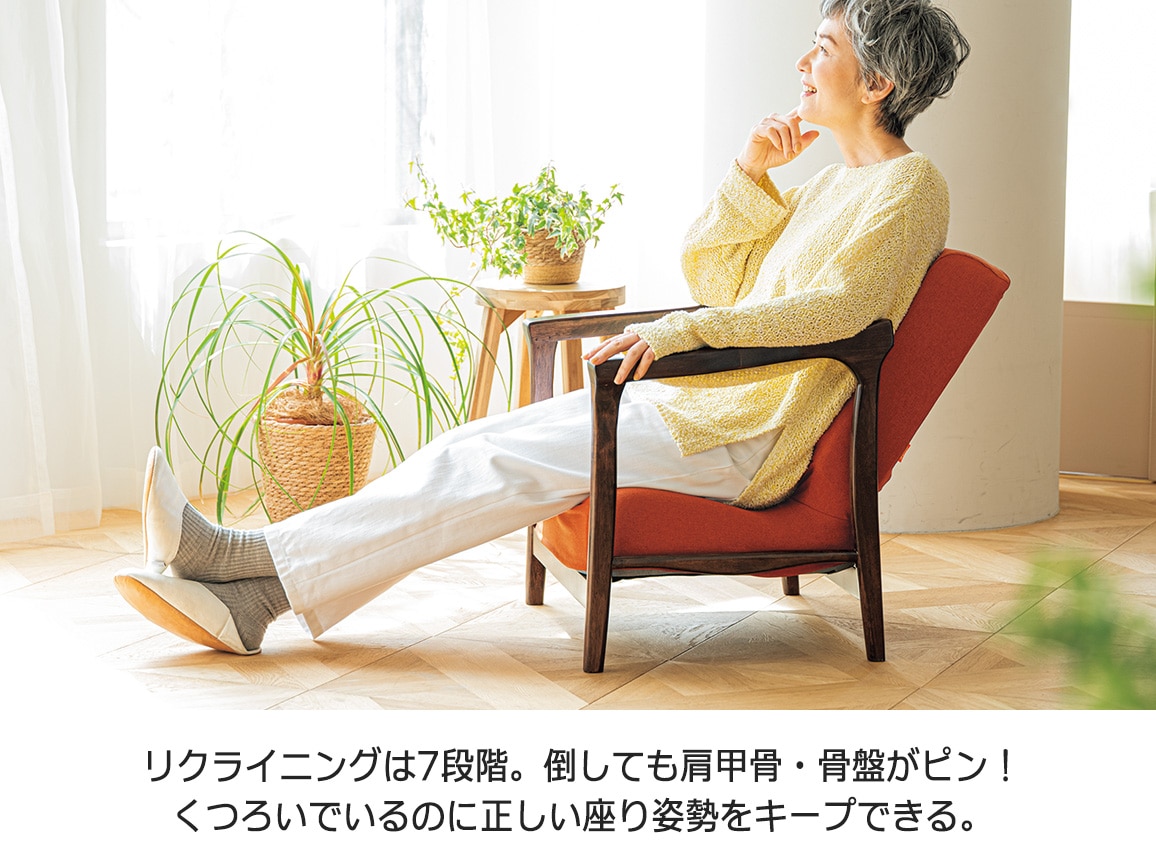 pinto Aチェア(専用カバー付き) pinto Aチェア(専用カバー付き)