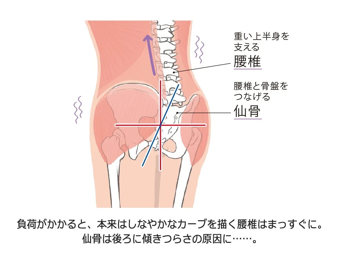 ハルメク 骨盤&腰サポートショーツ(レースタイプ)【広告商品】 ハルメク 骨盤&腰サポートショーツ(レースタイプ)【広告商品】