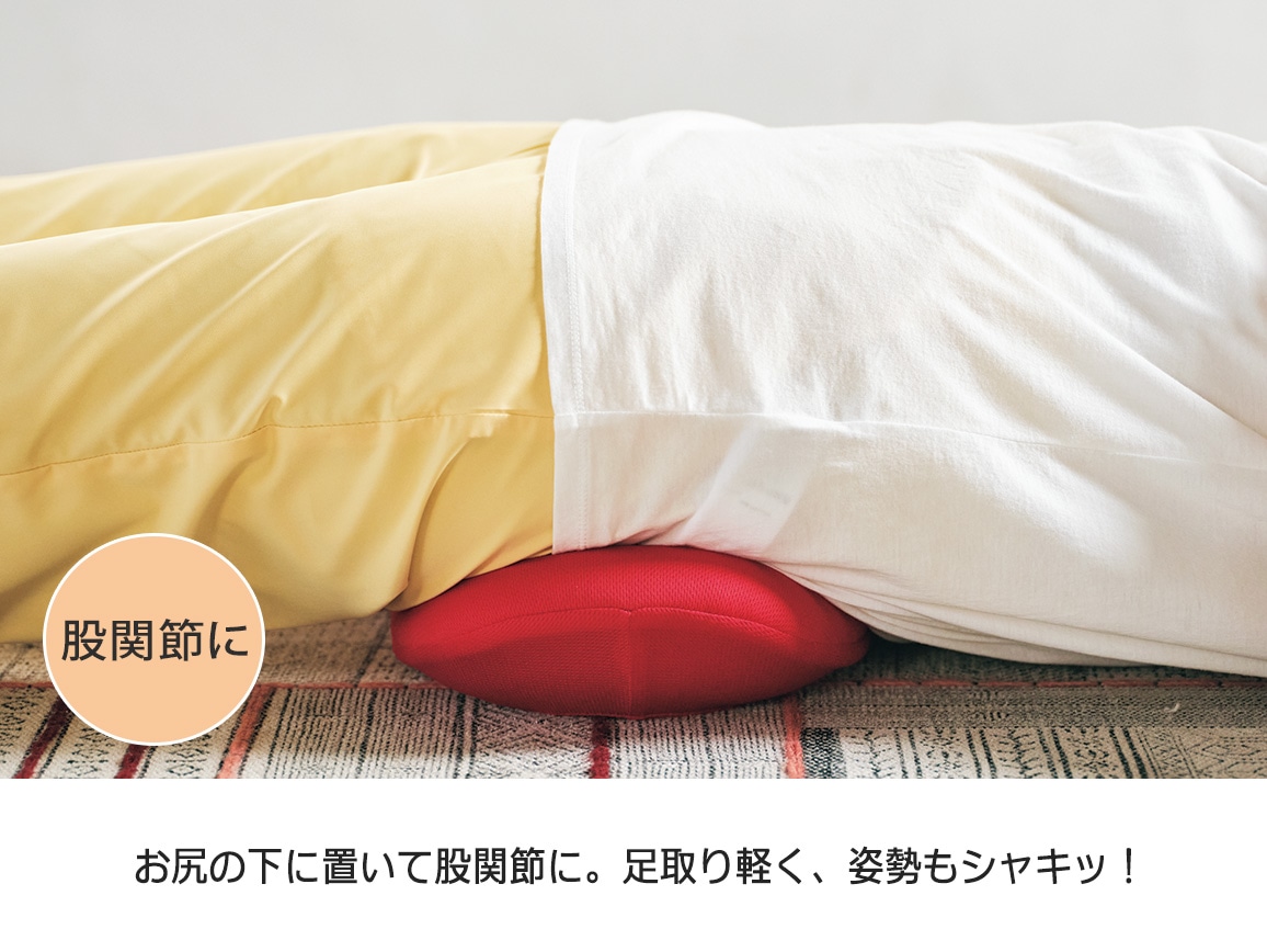 フィットネスクラブが作った エアスリマー(31_ブラウン