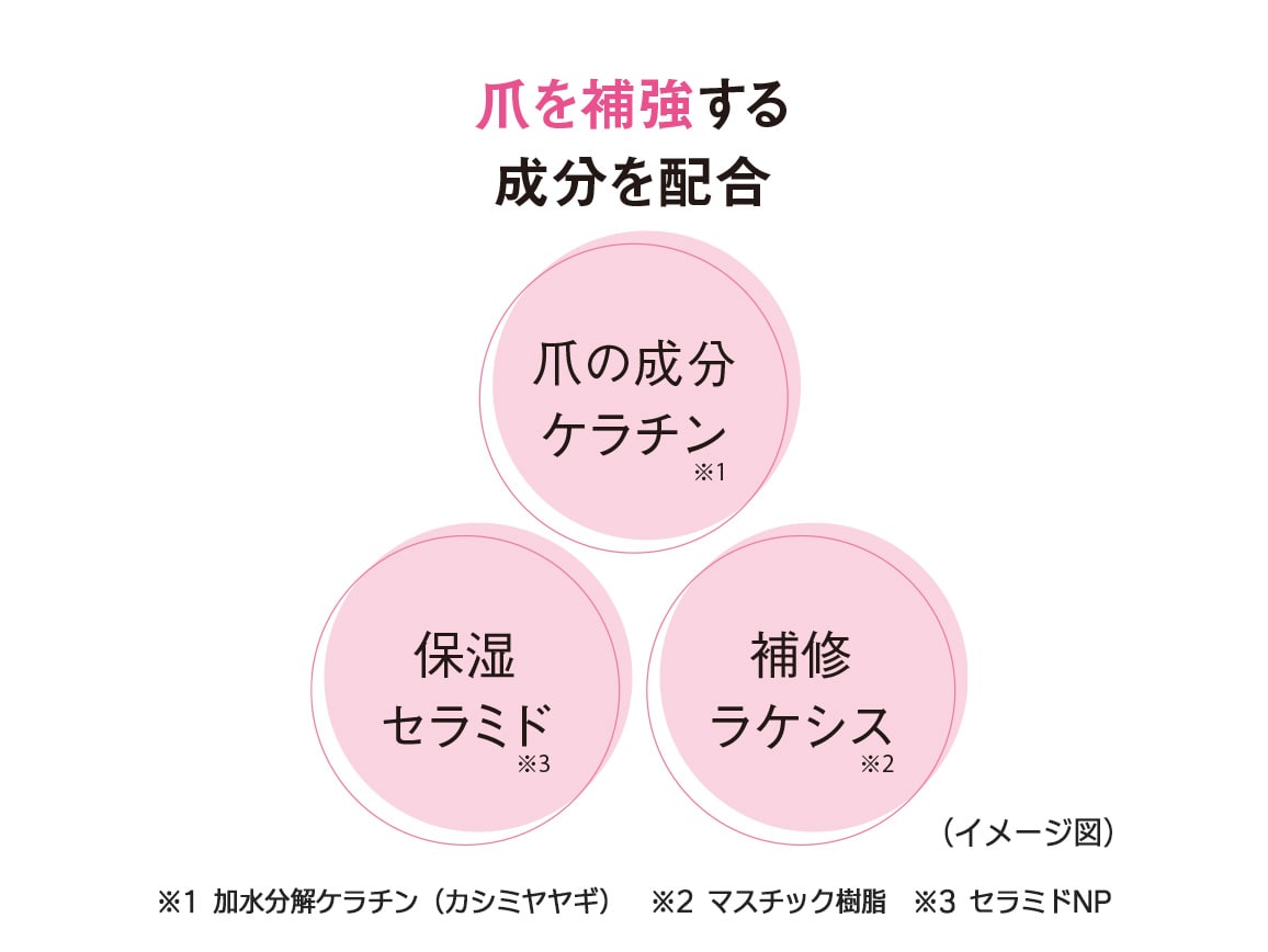 磨きと補強 つや爪セット 磨きと補強 つや爪セット