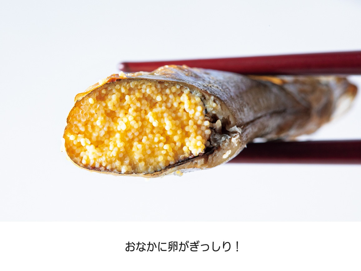 カナダ産 卵たっぷり超特大カラフトシシャモ(40尾) カナダ産 卵たっぷり超特大カラフトシシャモ(40尾)