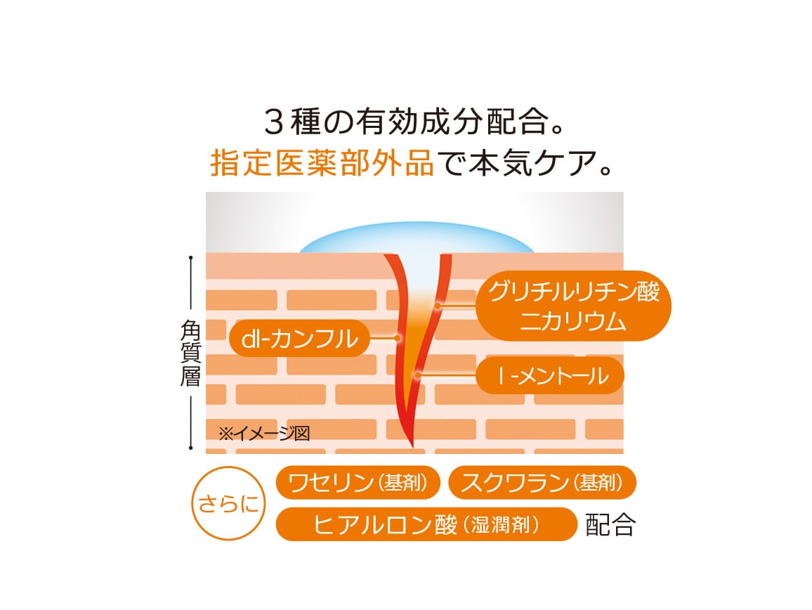 ガサナインK ガサナインK