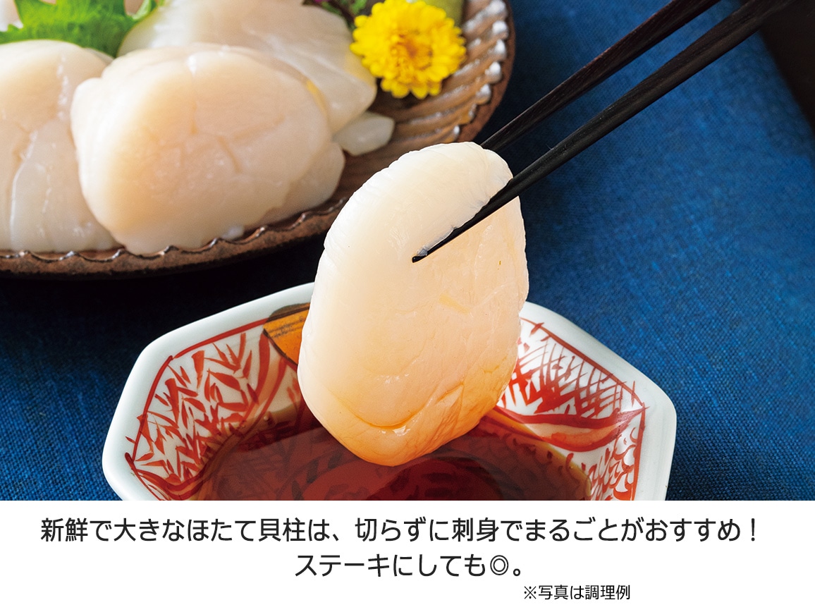 北海道産 大粒ほたて貝柱(1袋) 北海道産 大粒ほたて貝柱(1袋)