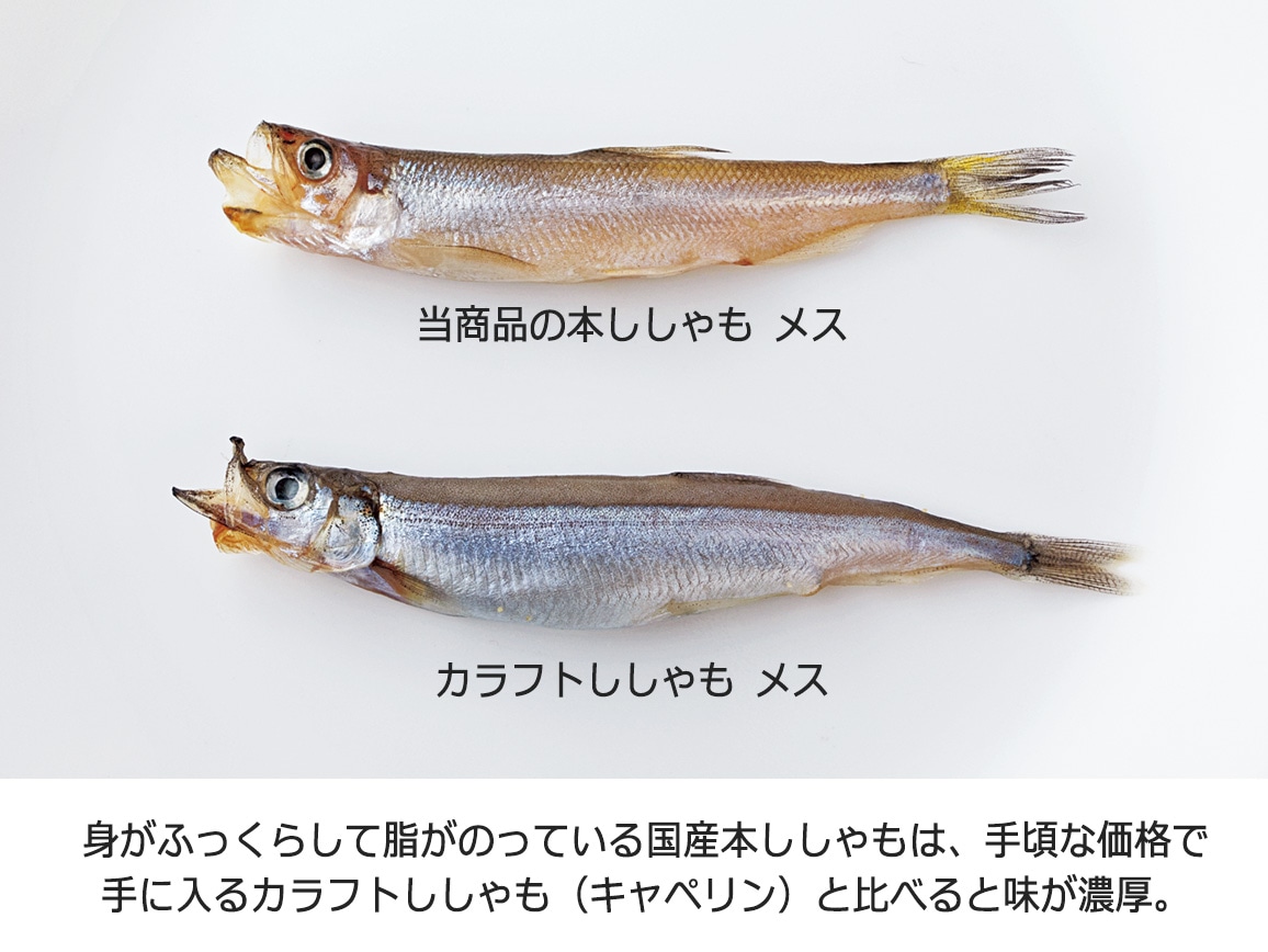 北海道広尾町産 本ししゃも オス・メス食べ比べセット(20尾) 北海道広尾町産 本ししゃも オス・メス食べ比べセット(20尾)