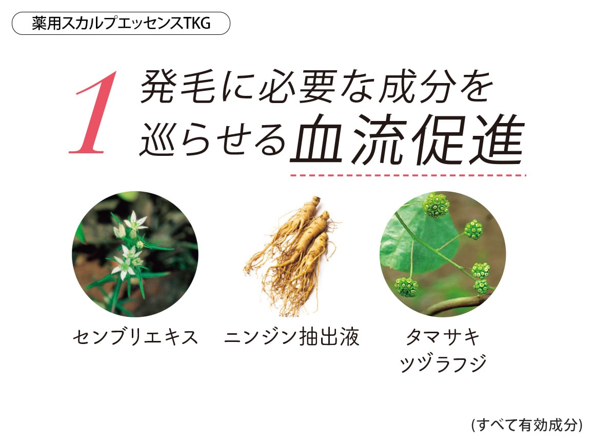 ハルメク 薬用スカルプエッセンスTKG&ふんわり美髪ブラシセット(プレミアムロング) ハルメク 薬用スカルプエッセンスTKG&ふんわり美髪ブラシセット(プレミアムロング)
