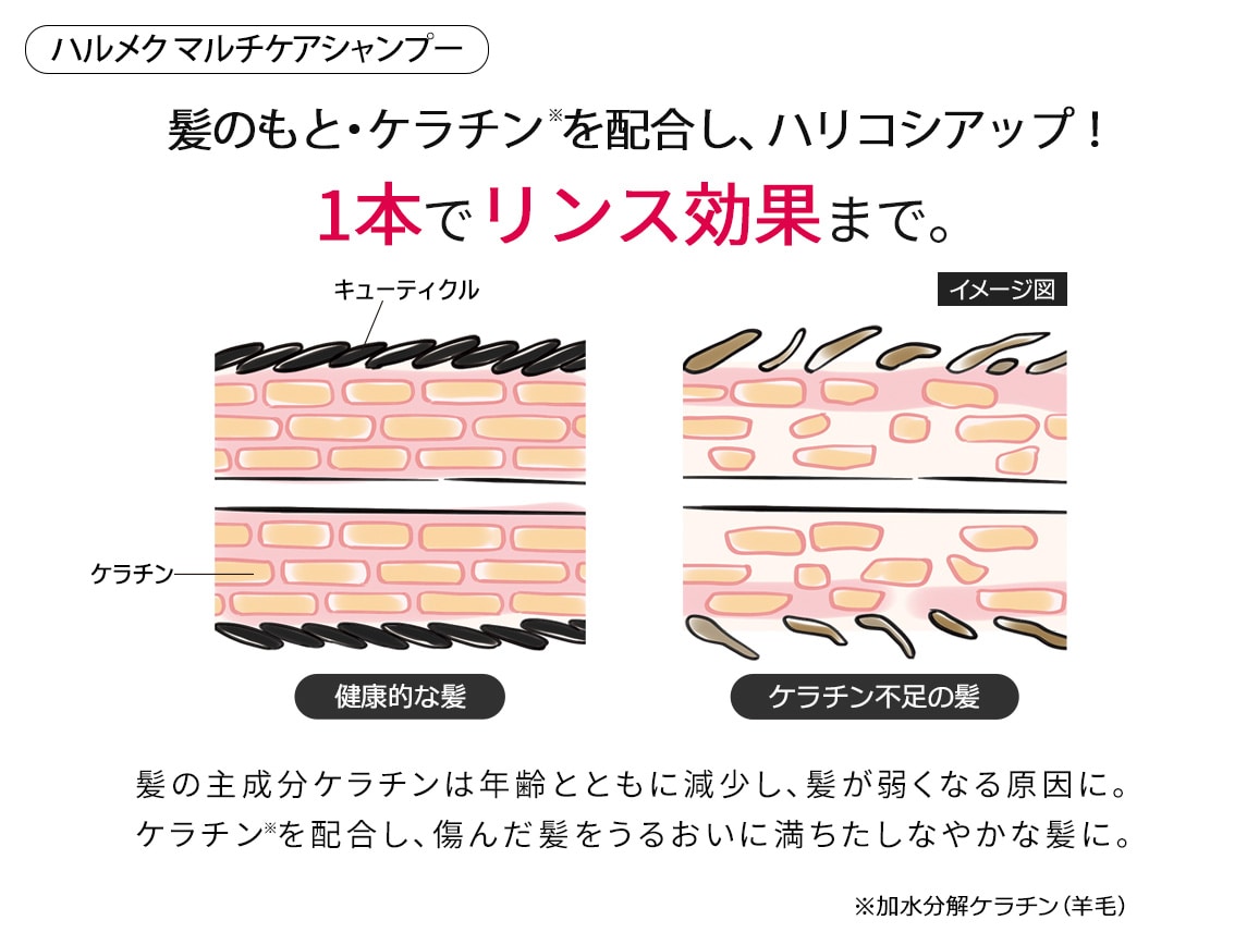 ハルメク つや髪 マルチケアシャンプー&ふんわり美髪ブラシセット(プレミアムロング) ハルメク つや髪 マルチケアシャンプー&ふんわり美髪ブラシセット(プレミアムロング)