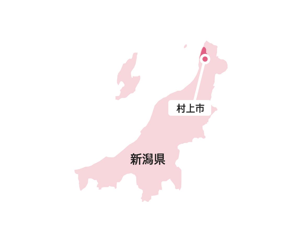 宮城県産 銀鮭の焼漬(4袋) 宮城県産 銀鮭の焼漬(4袋)