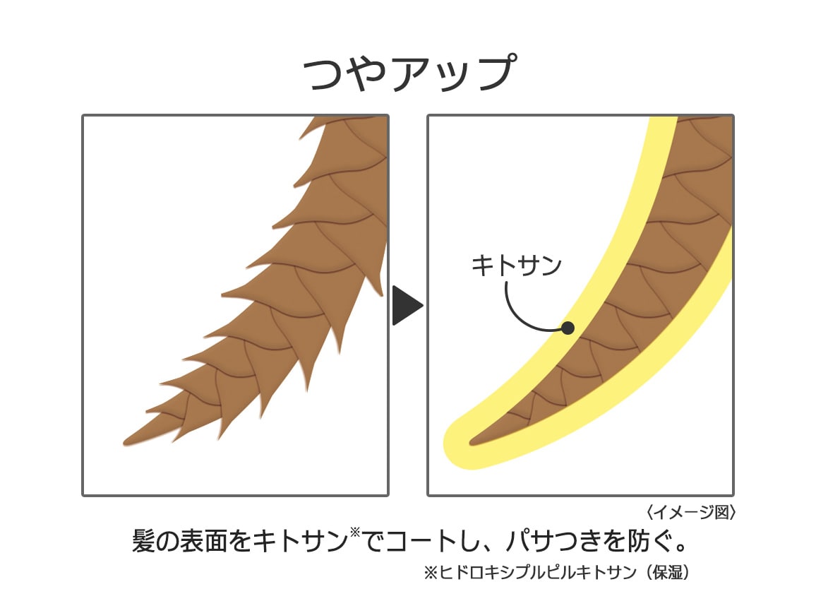 ハルメク 髪のハリつや美容液 2本組 ハルメク 髪のハリつや美容液 2本組