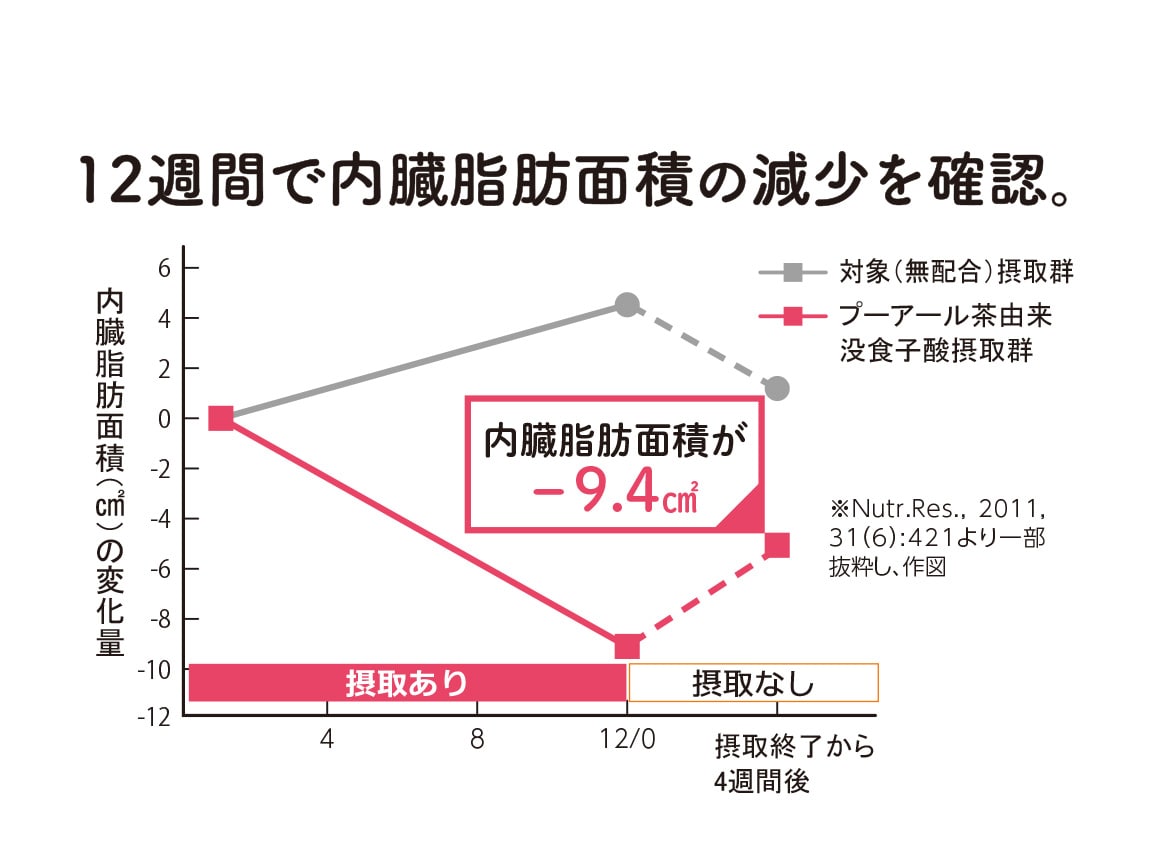国産プーアール茶 (2g120包) 国産プーアール茶 (2g120包)