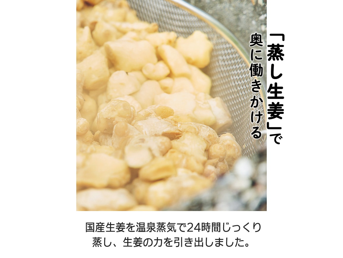 ハルメク 国産素材の生姜茶(1本) ハルメク 国産素材の生姜茶(1本)