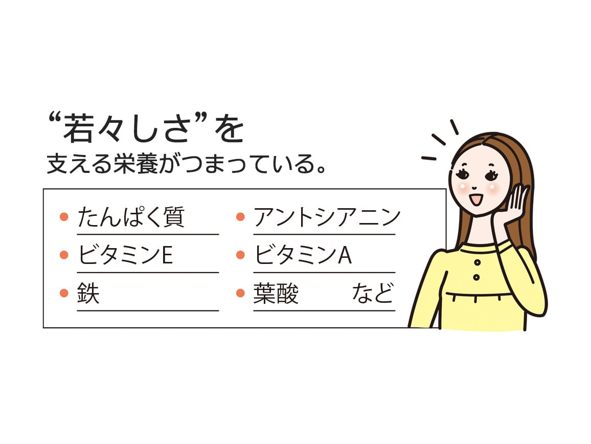 ハルメク 5素材の健康おやつ(24袋) ハルメク 5素材の健康おやつ(24袋)