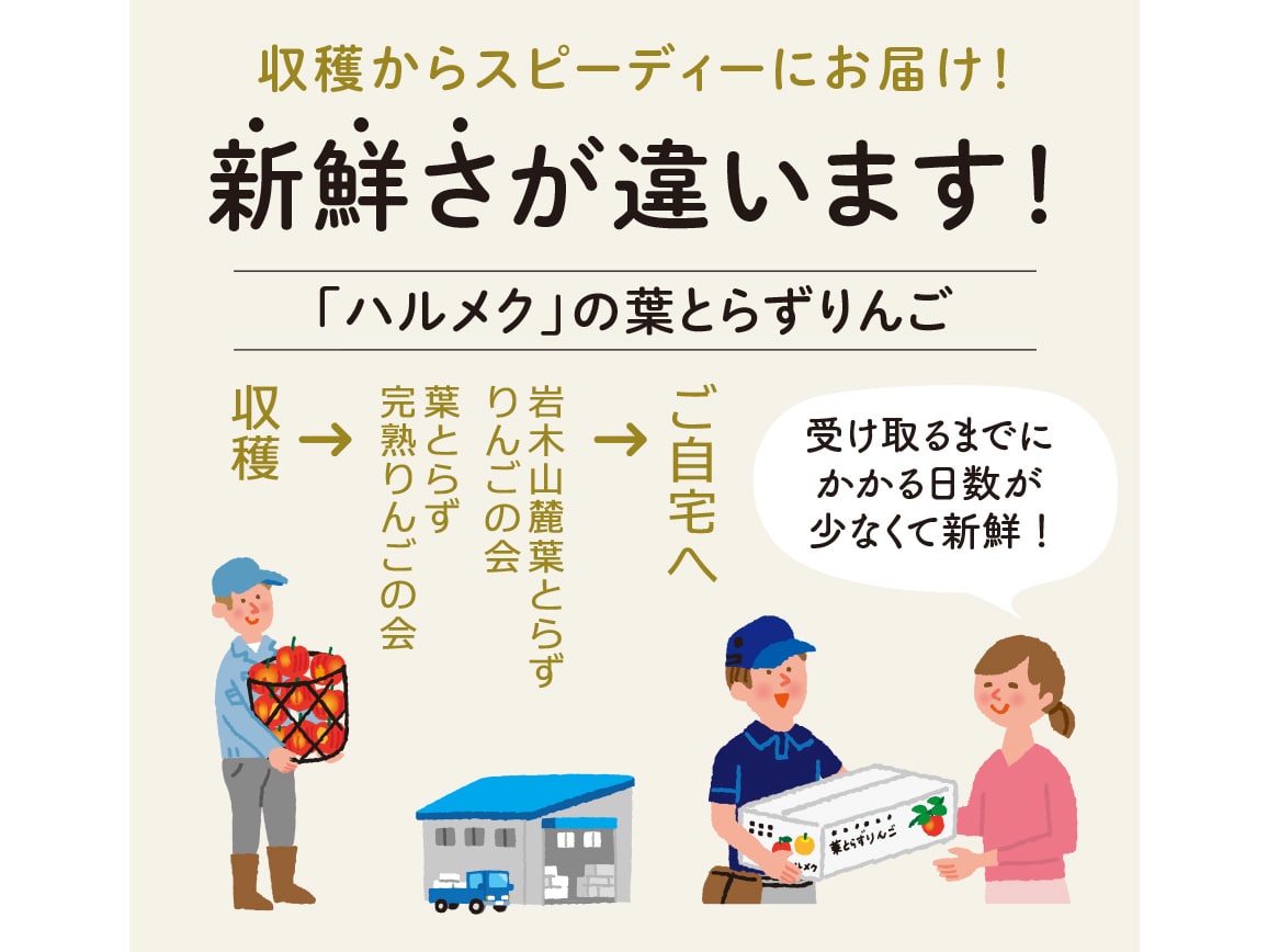 葉とらずサンふじ(2.7kg) 葉とらずサンふじ(2.7kg)