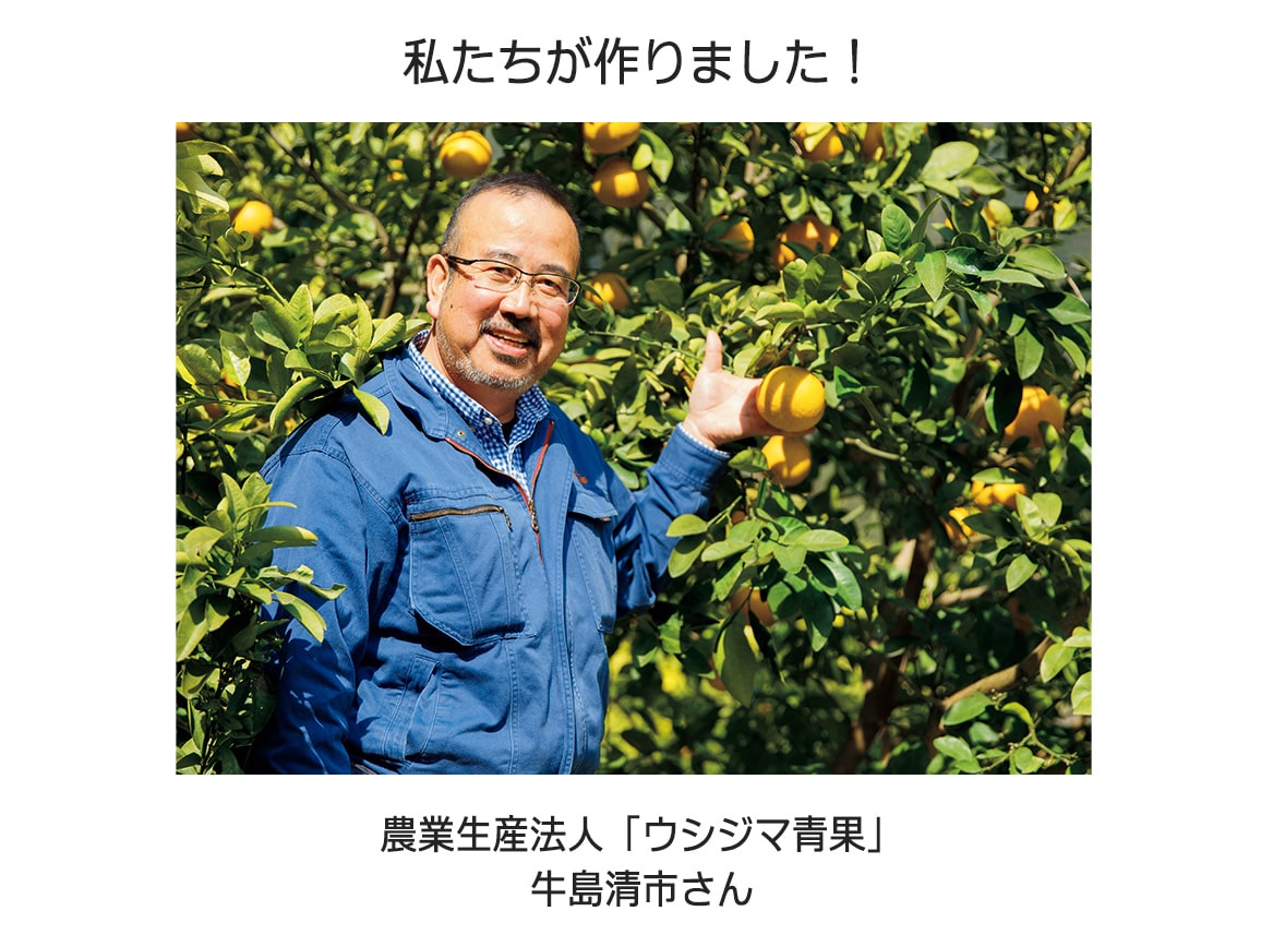 熊本ウシジマ青果 柑橘産直便(全3回) 熊本ウシジマ青果 柑橘産直便(全3回)