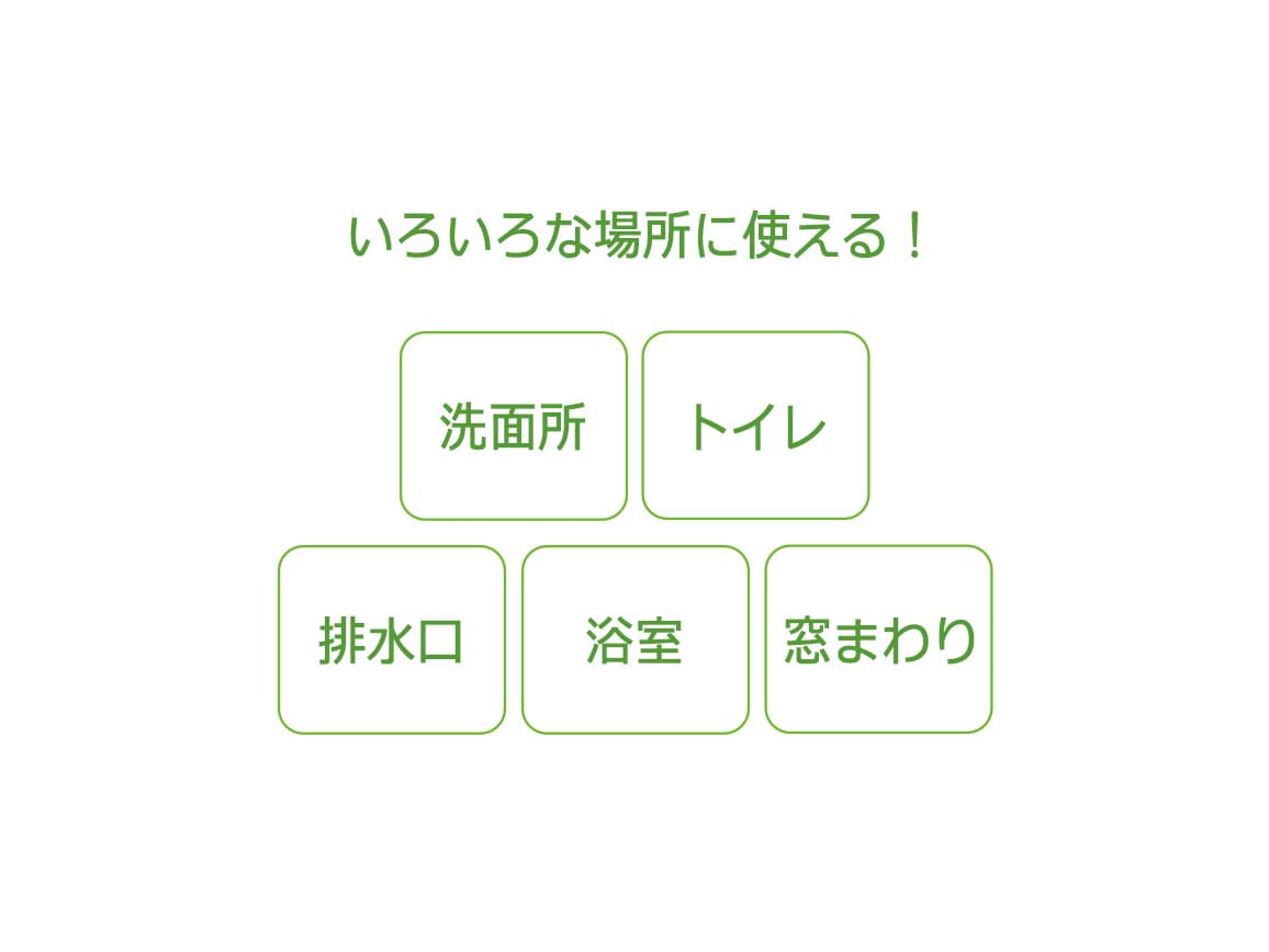 乳酸クリーナー カビグッバイ(2本組) 乳酸クリーナー カビグッバイ(2本組)