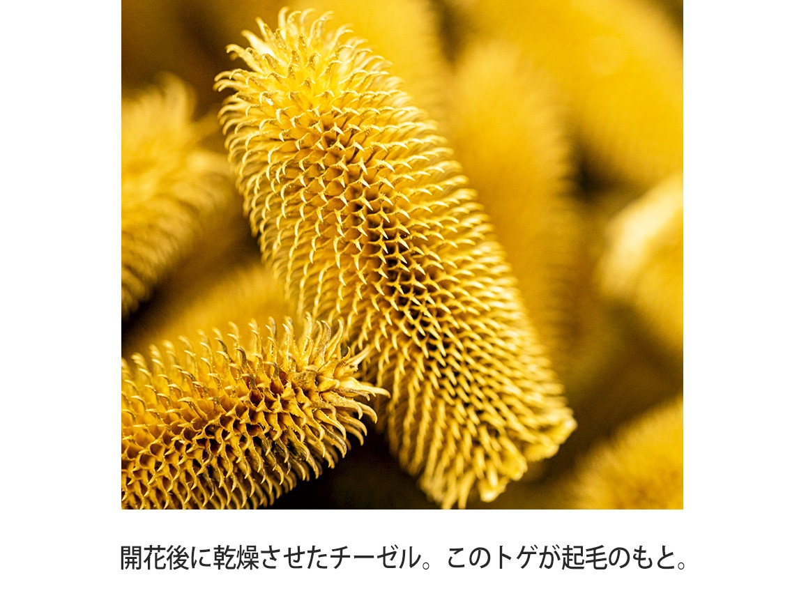 東かがわ ケーブル編みあたたか抗菌手袋 東かがわ ケーブル編みあたたか抗菌手袋