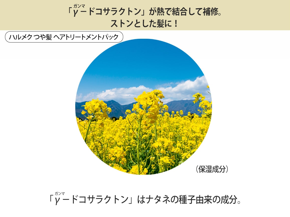 ハルメク つや髪 シャンプー&トリートメントセット ハルメク つや髪 シャンプー&トリートメントセット