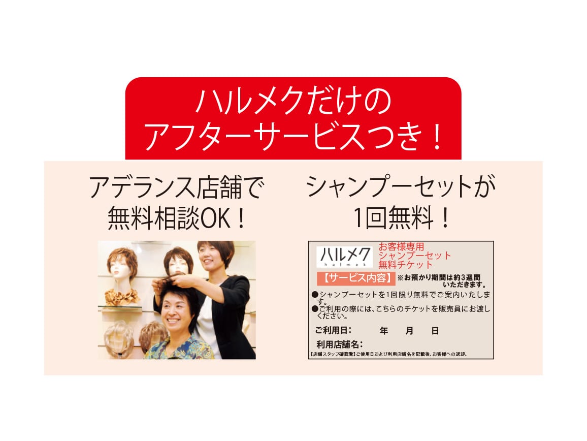 ラクきれいウィッグ スタイルアップ ラクきれいウィッグ スタイルアップ