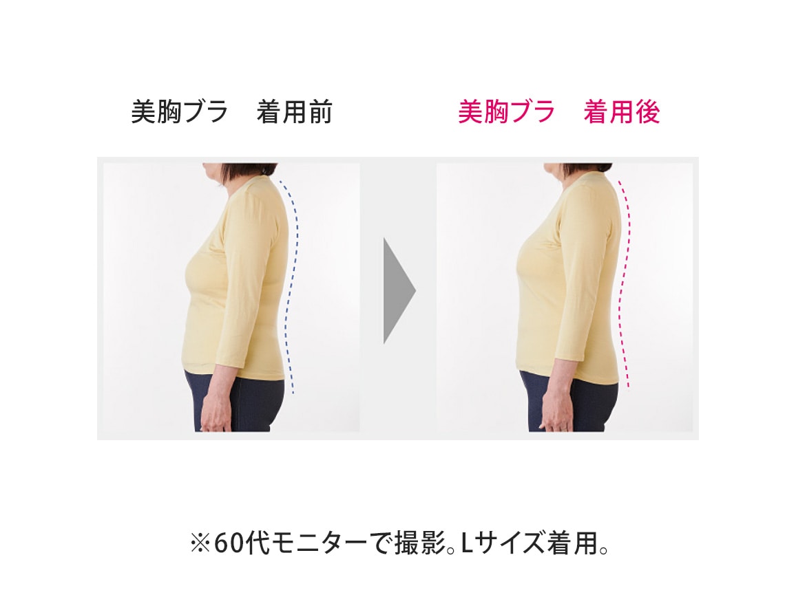 ハルメク ヘルスプラス・背すじシャキッと美胸ブラ(旧タイプ) ハルメク ヘルスプラス・背すじシャキッと美胸ブラ(旧タイプ)