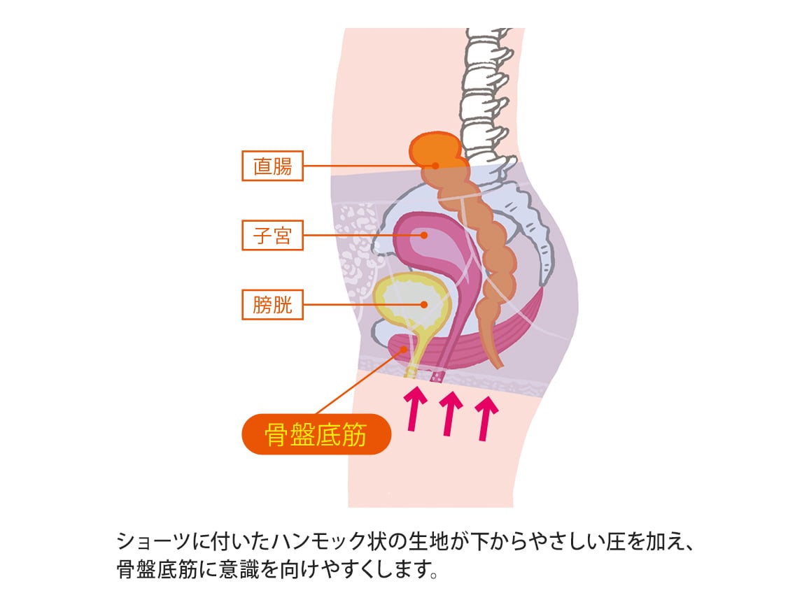 ハルメク 健康サポート・骨盤底筋サポートショーツ(あったか裏起毛) ハルメク 健康サポート・骨盤底筋サポートショーツ(あったか裏起毛)