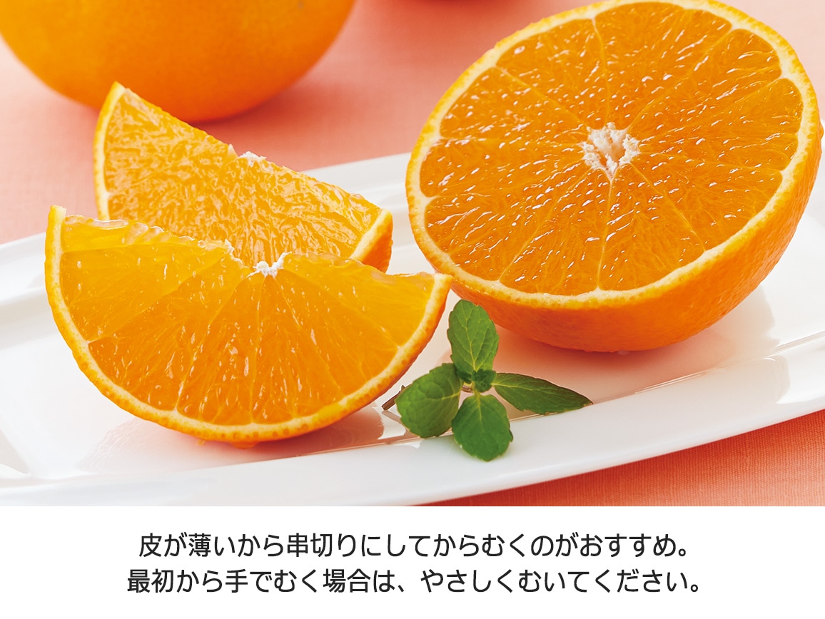 【送料込み価格】愛媛県産 紅まどんな(1.7Kg) 【送料込み価格】愛媛県産 紅まどんな(1.7Kg)