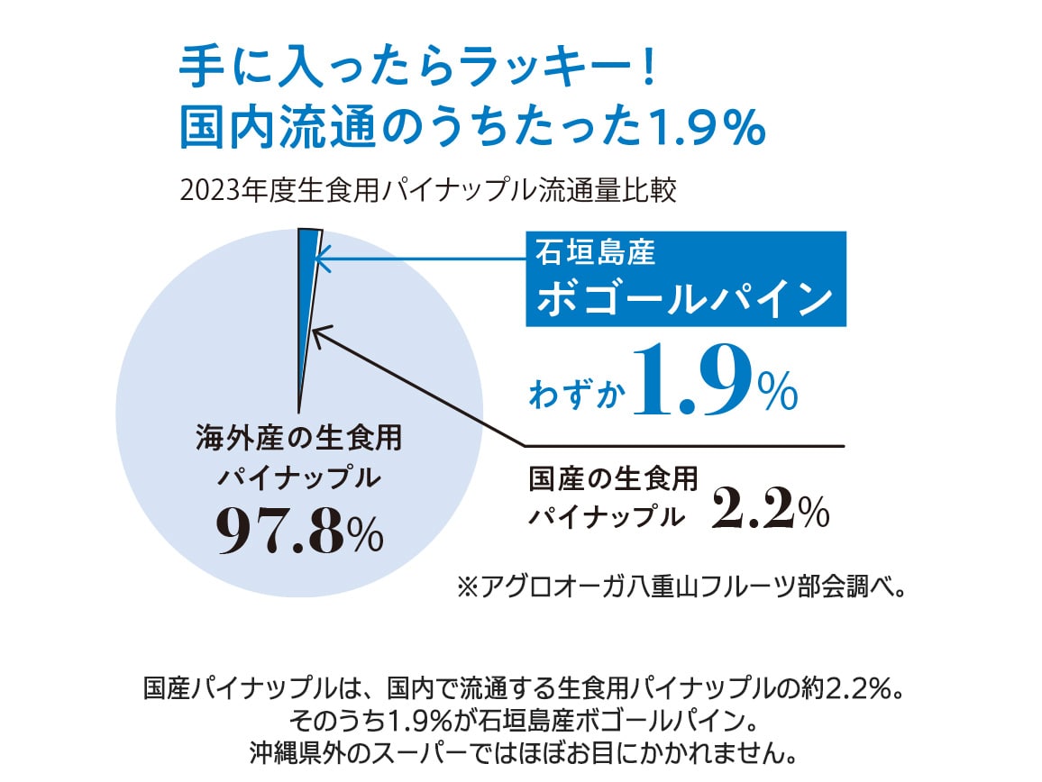 石垣島産 ちぎって食べられるボゴールパイン(1.5kg) 石垣島産 ちぎって食べられるボゴールパイン(1.5kg)