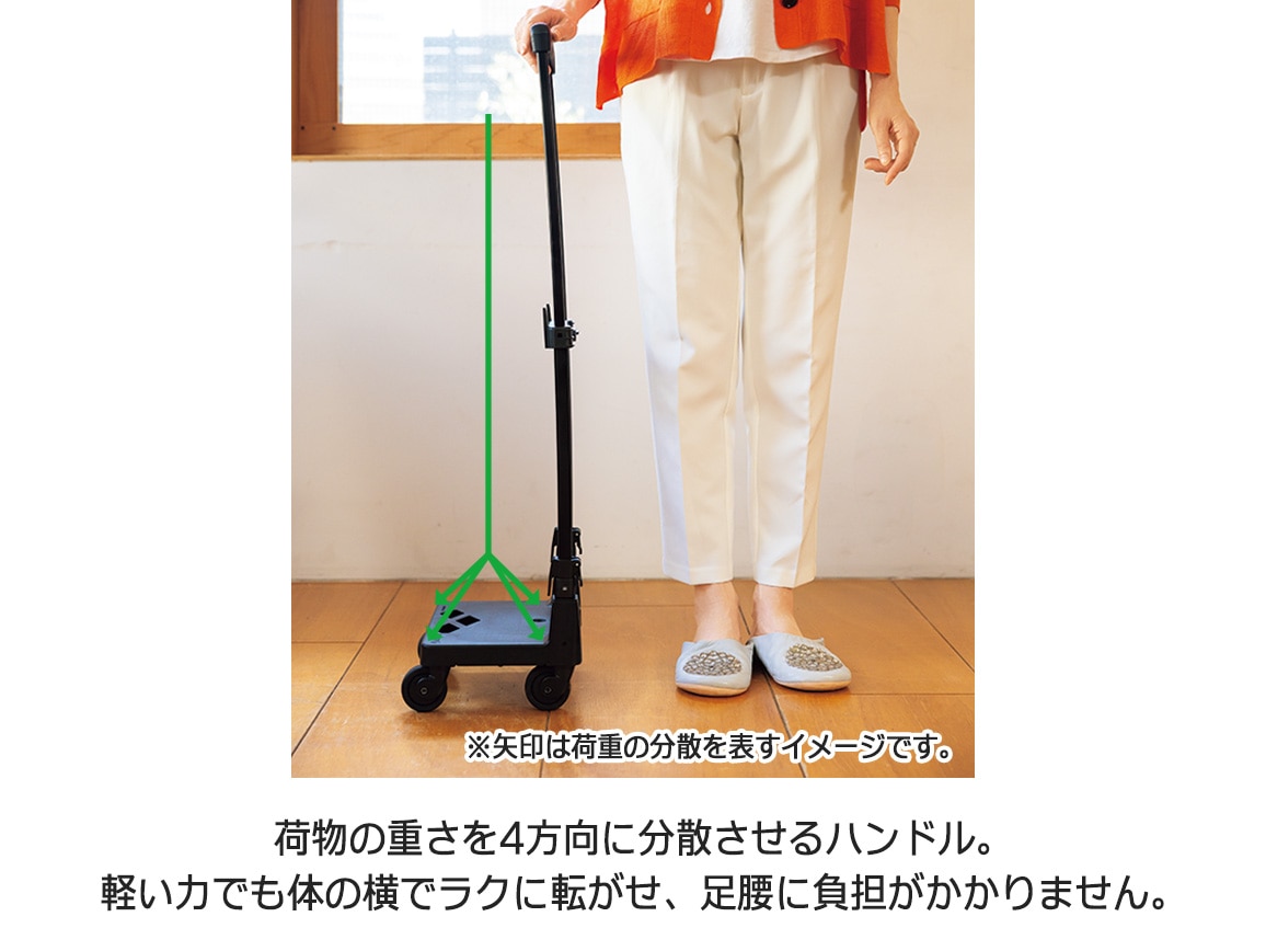 スワニー 荷物がラクに運べるキャリー グイ(M) スワニー 荷物がラクに運べるキャリー グイ(M)