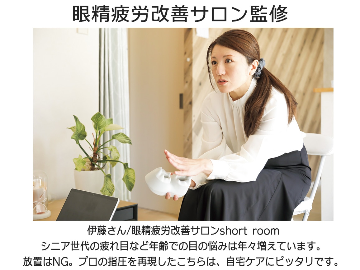 眼精ピロー 専用カバー付き 眼精ピロー 専用カバー付き