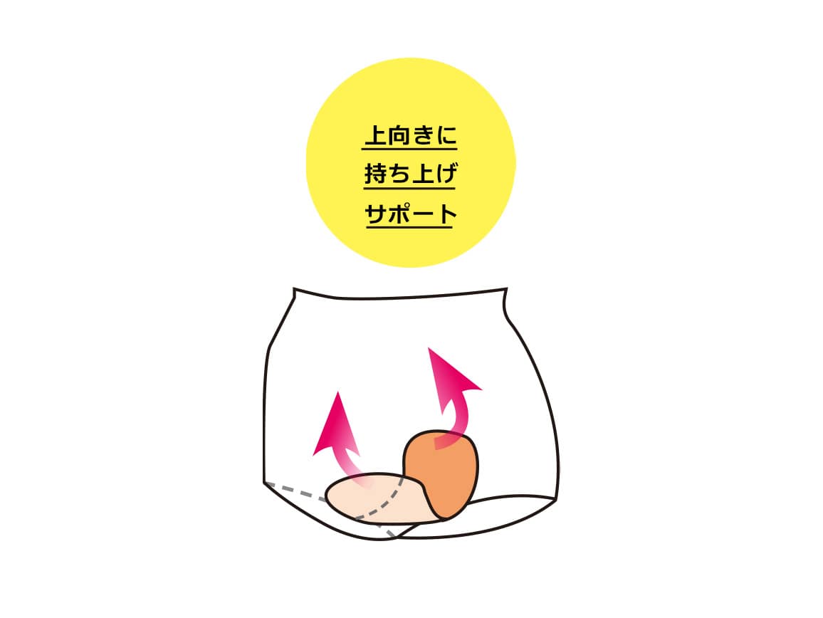 ハルメク 健康サポート・骨盤底筋サポートショーツ(通年用・ノンレース)【広告商品】 ハルメク 健康サポート・骨盤底筋サポートショーツ(通年用・ノンレース)【広告商品】