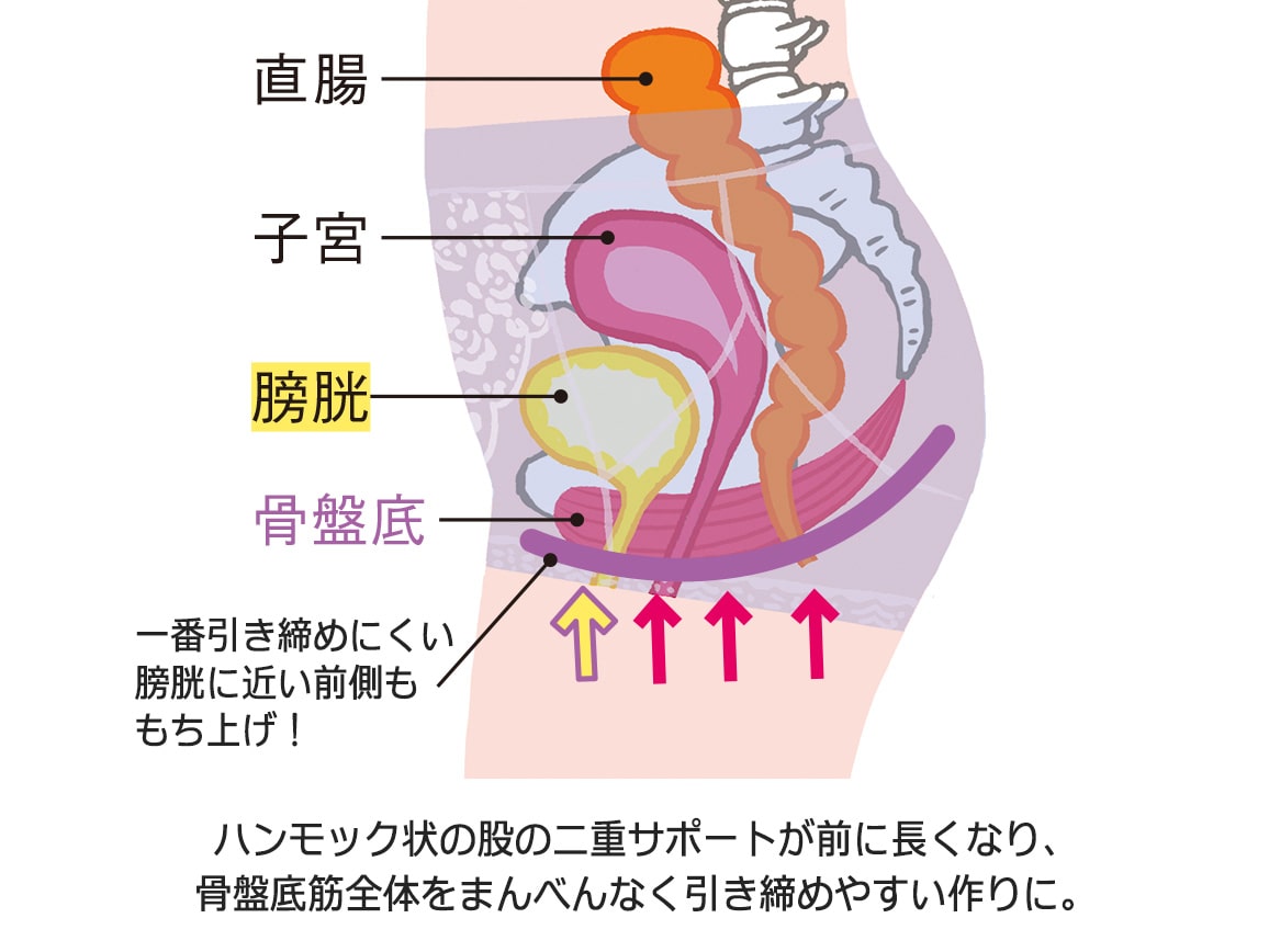 ハルメク 健康サポート・骨盤底筋サポートショーツ(涼やか綿メッシュ) ハルメク 健康サポート・骨盤底筋サポートショーツ(涼やか綿メッシュ)