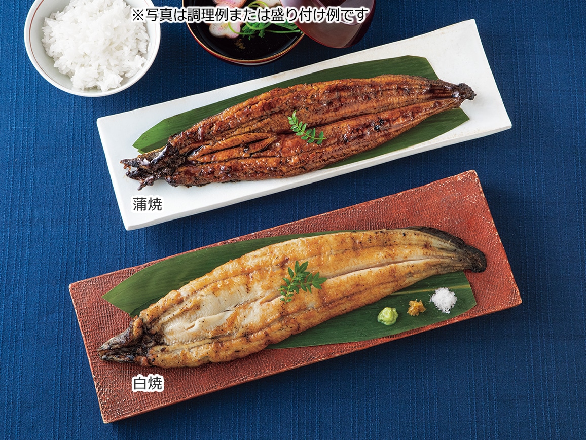 福岡柳川「龍川魚商店」うなぎ長焼き2種(2尾) 福岡柳川「龍川魚商店」うなぎ長焼き2種(2尾)