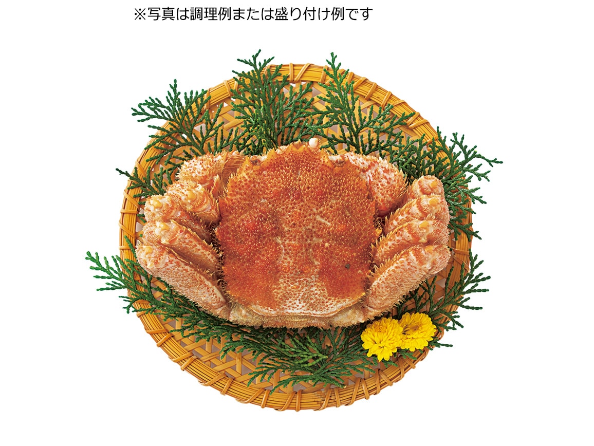 北海道 オホーツク産毛ガニと大粒ほたて貝柱セット 北海道 オホーツク産毛ガニと大粒ほたて貝柱セット