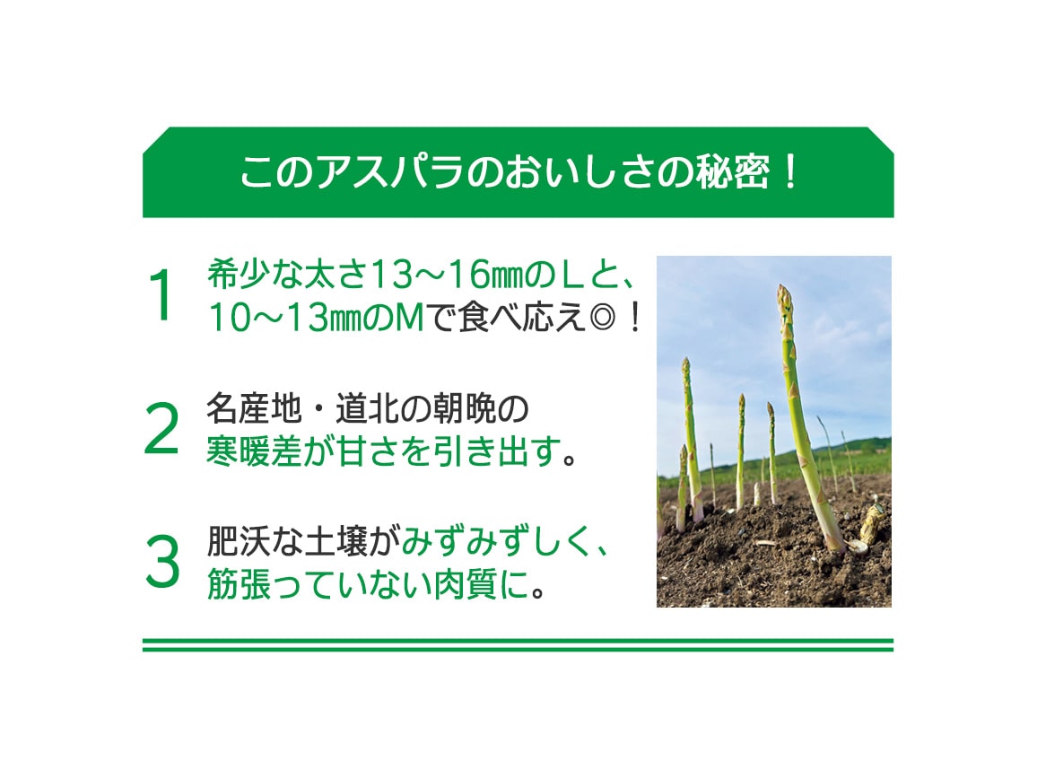 北海道 道北・名寄産 グリーンアスパラ(800g) 北海道 道北・名寄産 グリーンアスパラ(800g)