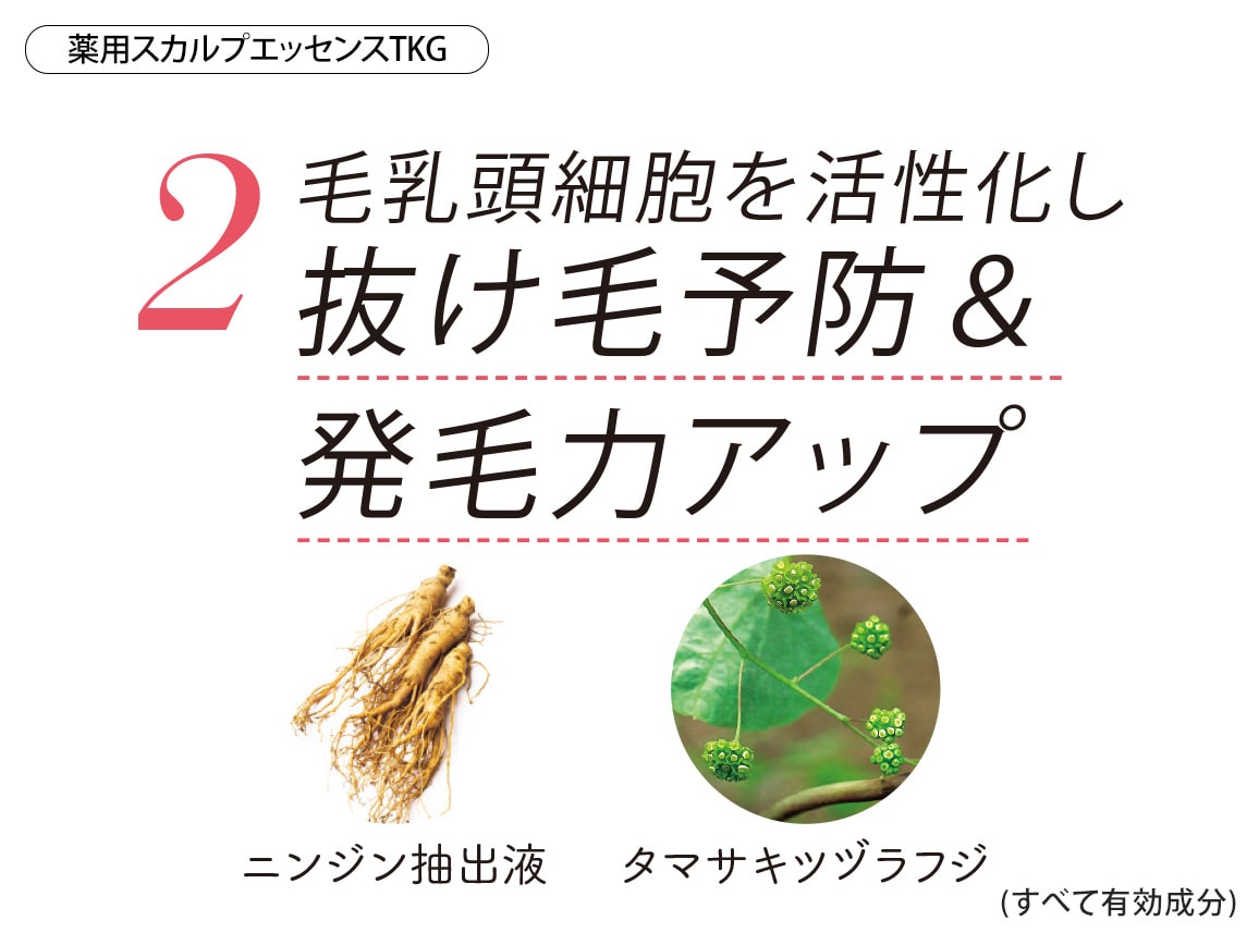 ハルメク 薬用スカルプエッセンスTKG&ふんわり美髪ブラシセット(プレミアムロング) ハルメク 薬用スカルプエッセンスTKG&ふんわり美髪ブラシセット(プレミアムロング)