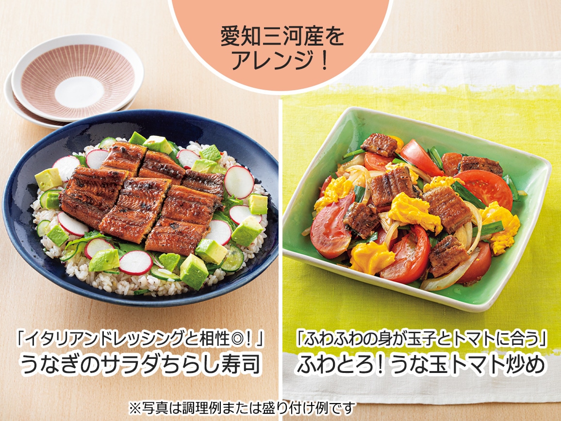 愛知三河産と静岡焼のうなぎ食べ比べ(8袋) 愛知三河産と静岡焼のうなぎ食べ比べ(8袋)