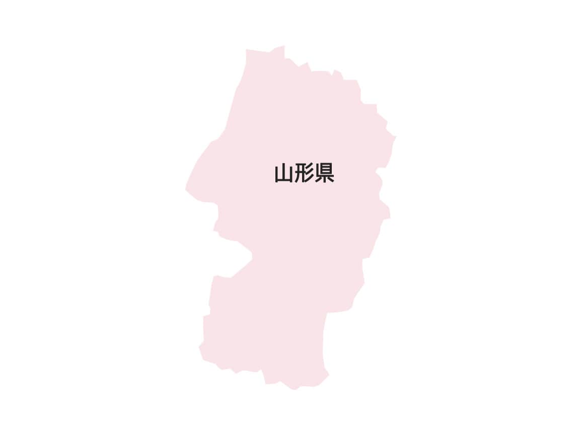 山形の芋煮 2種セット(4袋) 山形の芋煮 2種セット(4袋)