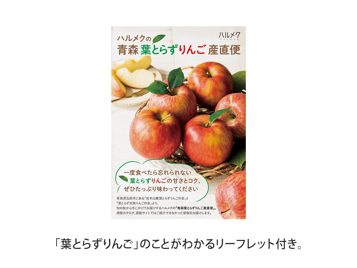 葉とらずサンふじ(2.7kg) 葉とらずサンふじ(2.7kg)