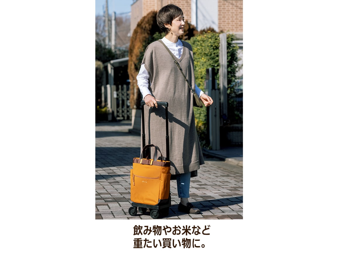 スワニー 荷物がラクに運べるキャリー(M) スワニー 荷物がラクに運べるキャリー(M)